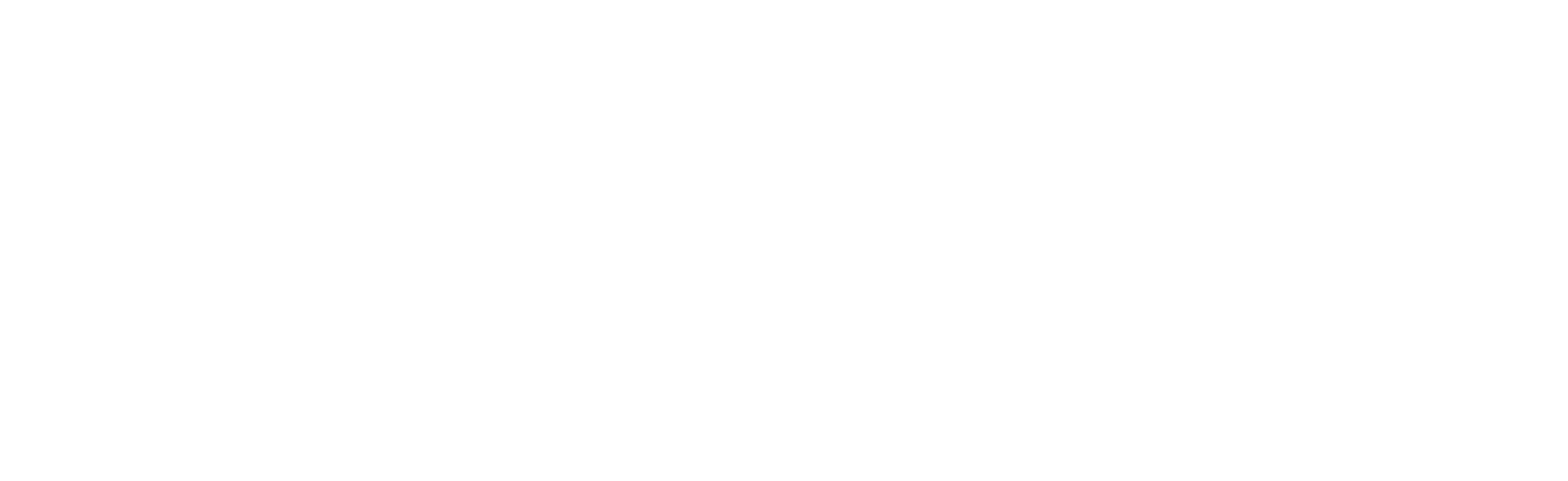 dMetrics