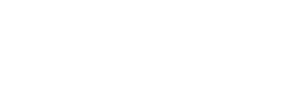 Pryon 