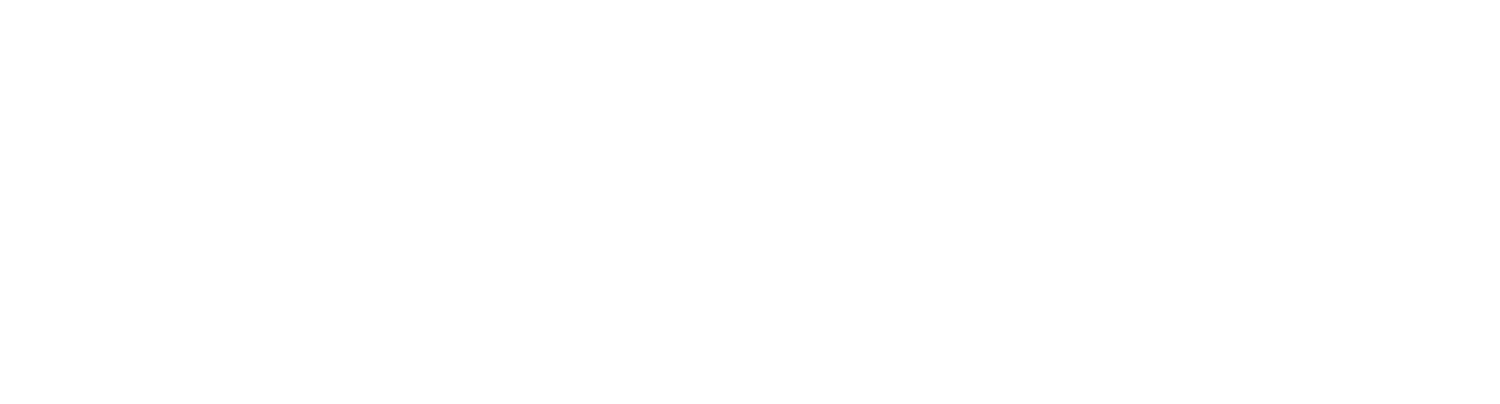 cybervets